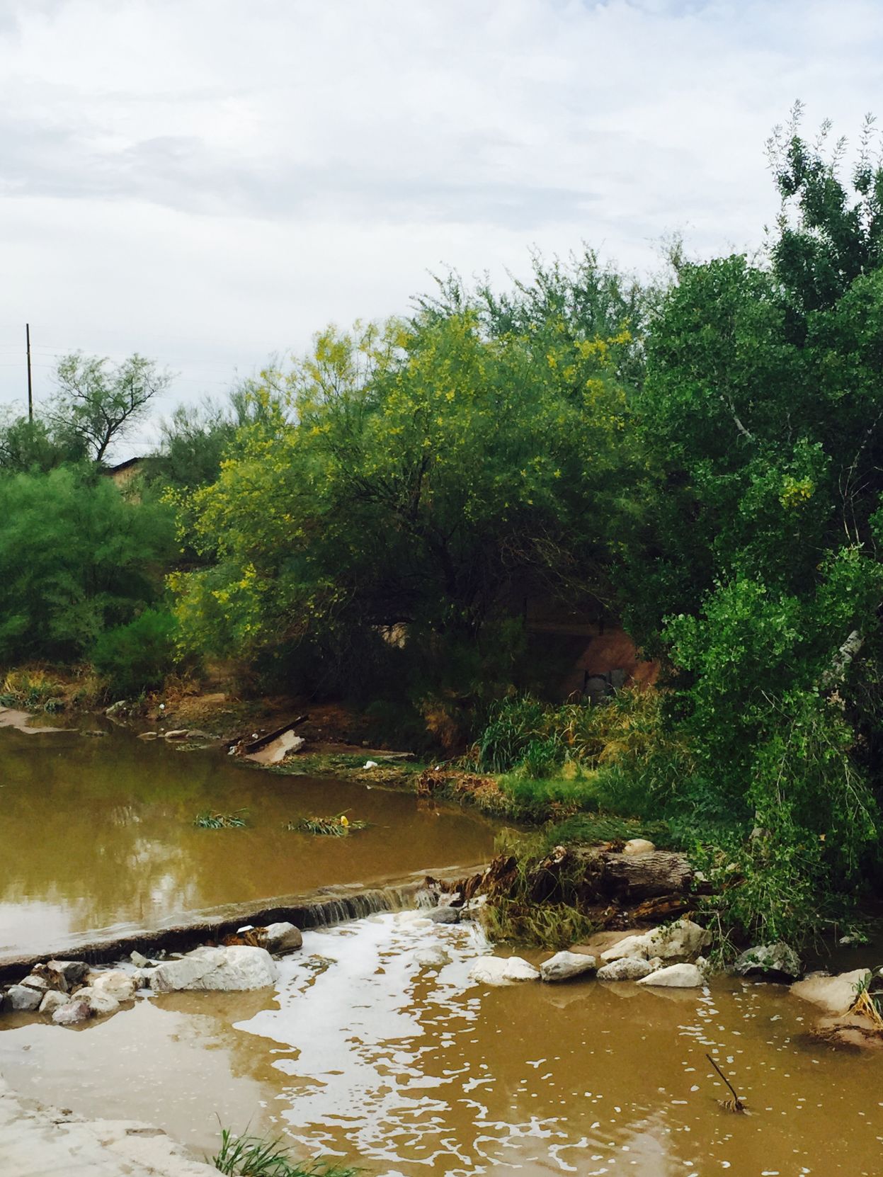 After the rains